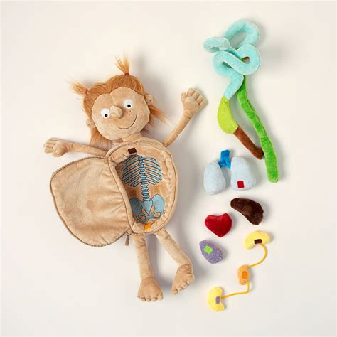 organ soft toys|body organ plush toys.